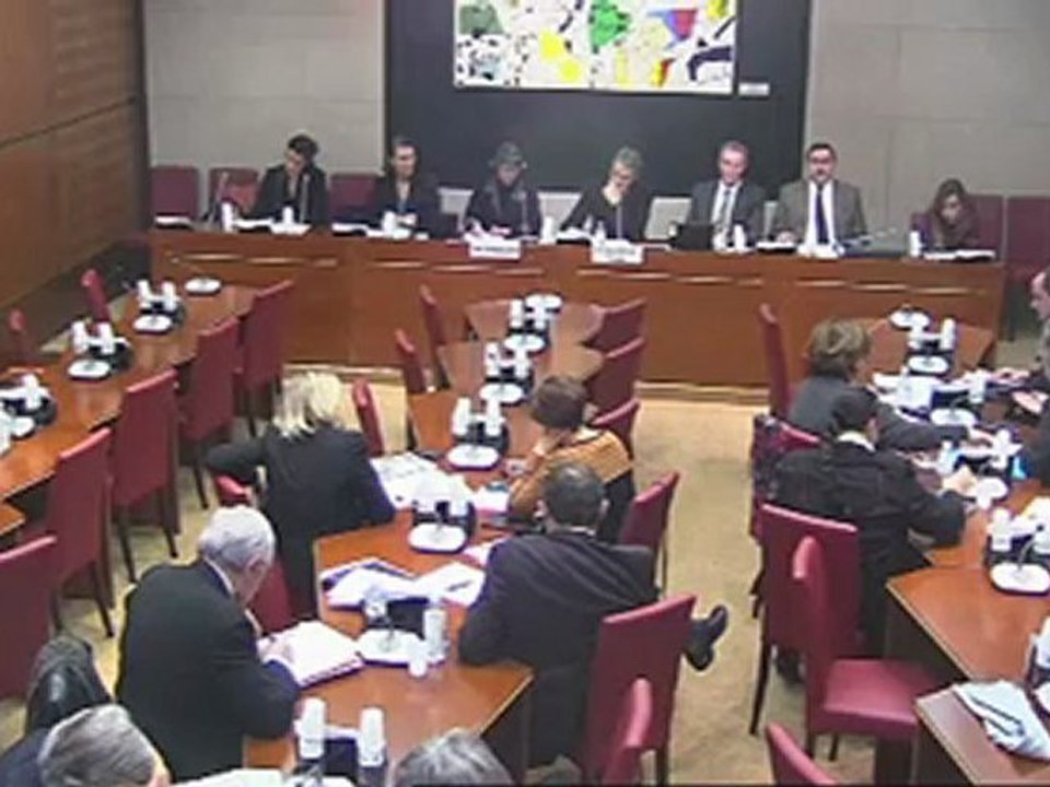 121114audition par la commission de la présidente d'arte véronique cayla