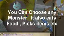 Runescape Bots - Efficient Ban proof Automation for your character