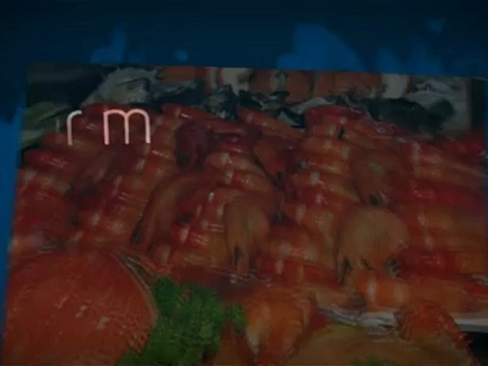 Information On Red Lobster Coupons Printable For The Months Of November And December 2012