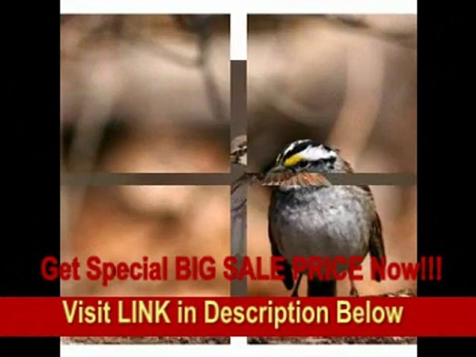 [SPECIAL DISCOUNT] Canon EF 400mm f/5.6L USM Super Telephoto Lens for Canon SLR Cameras