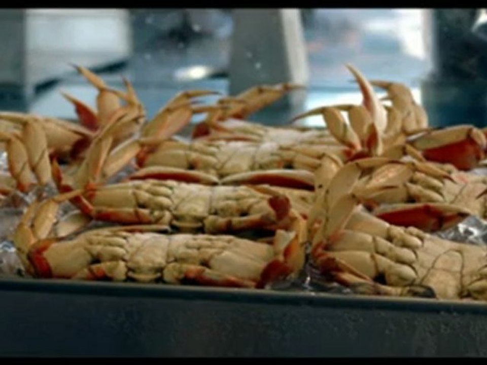 Red Lobster Coupons Printable & Special Deals: The CrabFest