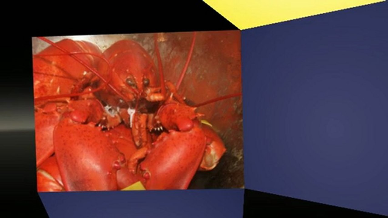 Info Regarding The November & December 2012 Red Lobster Coupons Printable