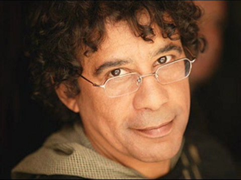 Laurent Voulzy - Le Coeur Grenadine