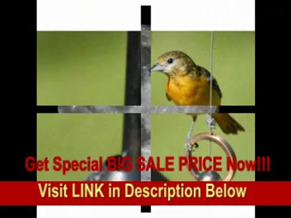 [FOR SALE] Nikon 80-400mm f/4.5-5.6D ED Autofocus VR Zoom Nikkor Lens