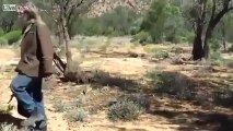 Kanguru Nasıl Yakalanır