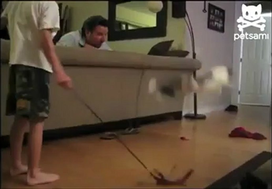 Kediden Uzak Doğu Sanatları Dersi