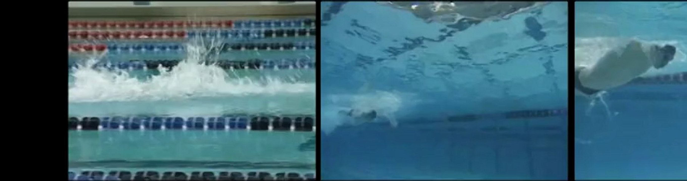 Natacion