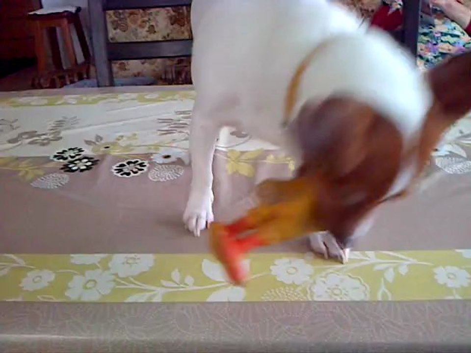 flora et son poulet