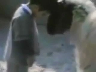 Koyuna kafa tuttu kafayı yedi