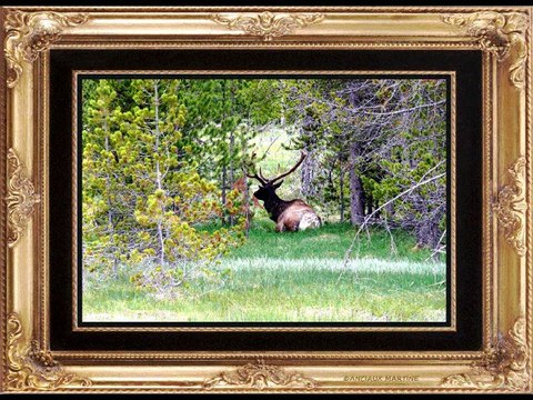 ©IMPRESSIONS POEME THOMAS ANDRE PHOTOS&PHOTOS-PEINTURES MARTINE ANCIAUX MUSIQUE PAUL DECOMBLE©