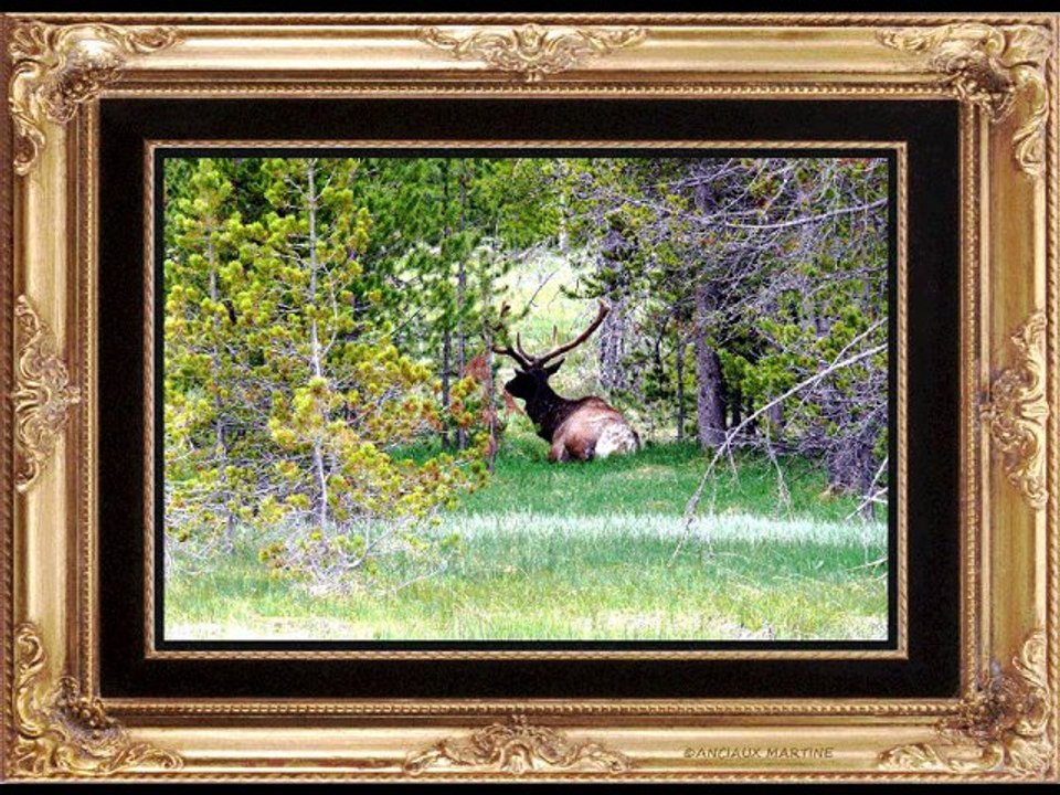 ©IMPRESSIONS POEME THOMAS ANDRE PHOTOS&PHOTOS-PEINTURES MARTINE ANCIAUX MUSIQUE PAUL DECOMBLE©