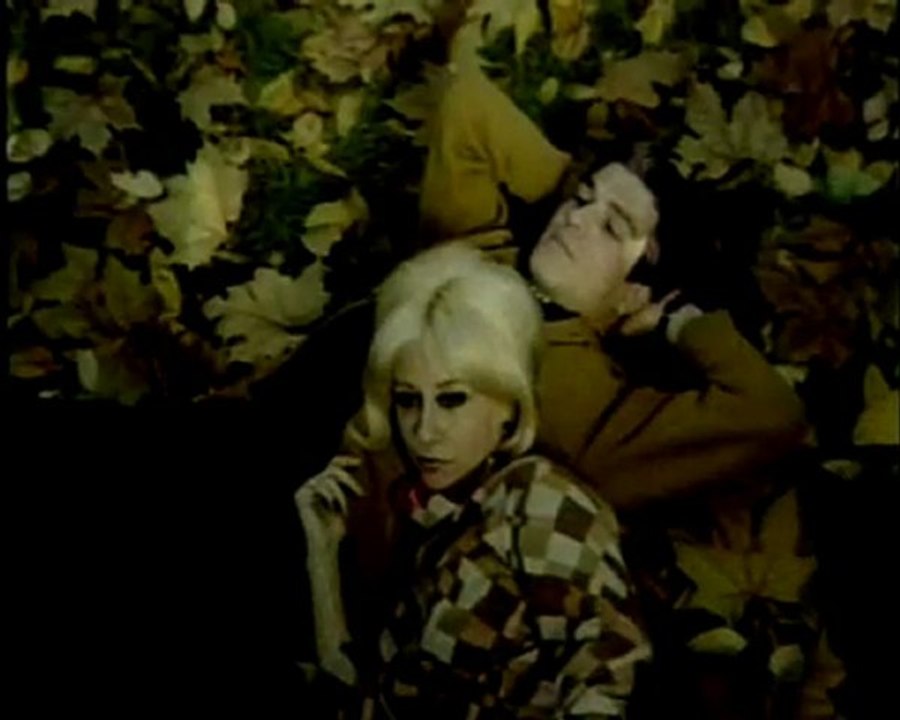 Behiye Aksoy  - artık yeşerecek bir dalım yok - kolaj Serbülent Öztürk