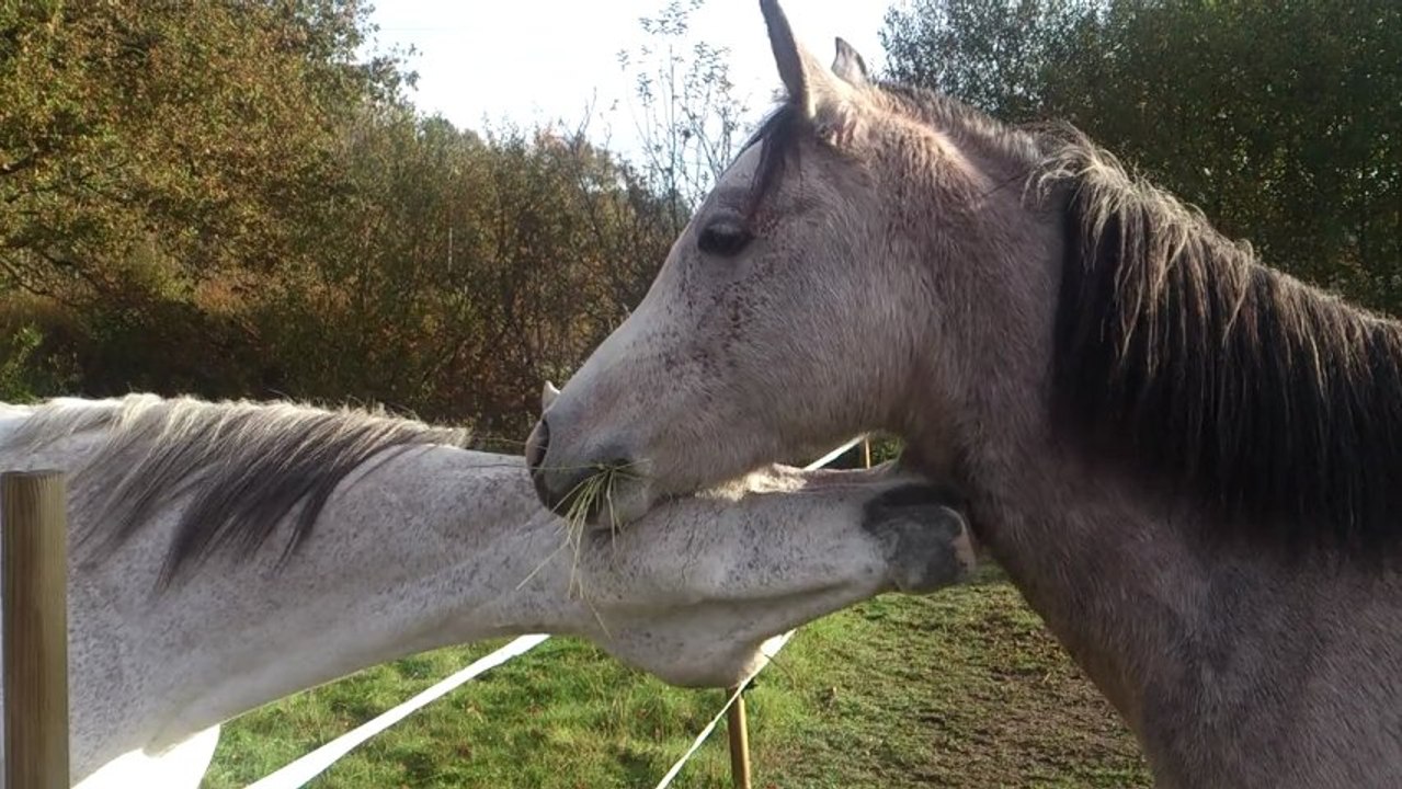 Enfin et Zarda - Novembre 2012