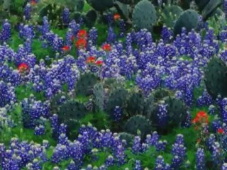 كيفية جعل كيما بغيتي بسهولة وبدون عناء ✨