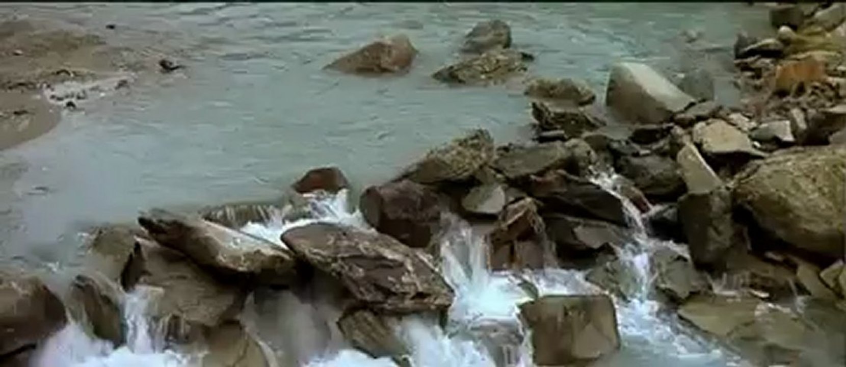 THE BEAR-(1988)-the-cougar-scene