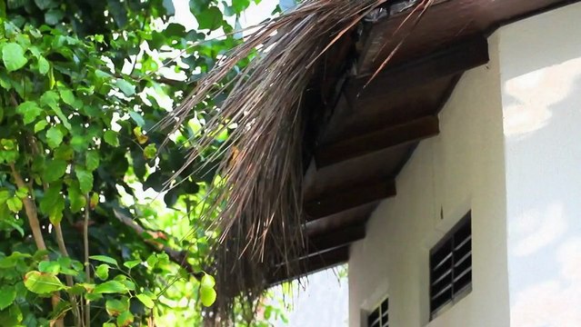 Jordy Smith surfing in Maldives - Bending Colours - Webisode 3