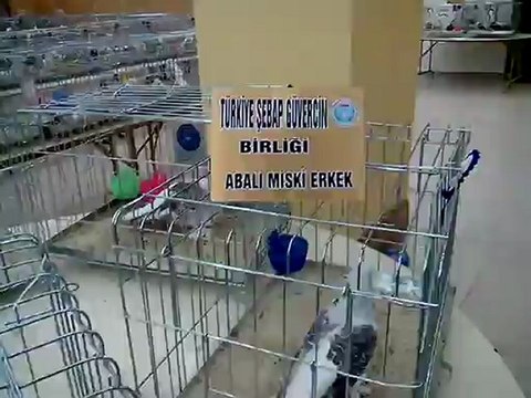 Şebap Güvercin Birliği 5.Karaman Festivali 6