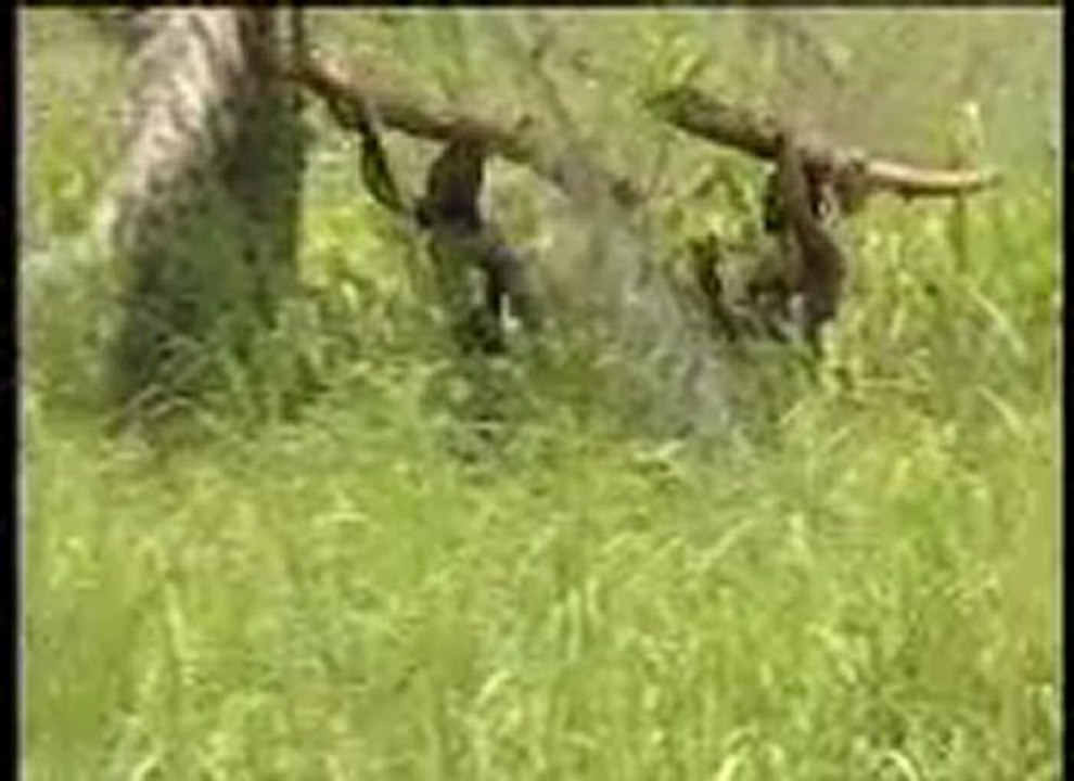 OMALIKO PART 1- Nollywood Epic Movie