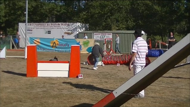 Agility Ena Concours CCPM 9 Sept 2012