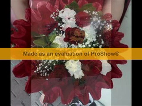 zeytinburnu çiçekçi