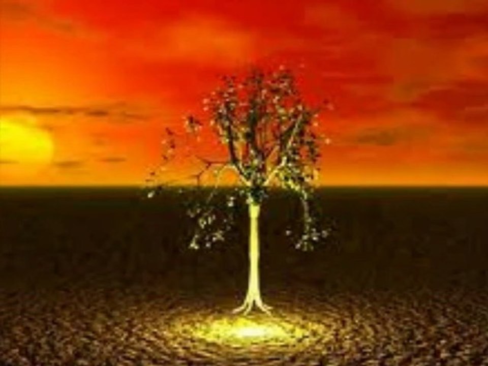 nur für Celllllllllllllllllllllllllllllllllllllllin............................