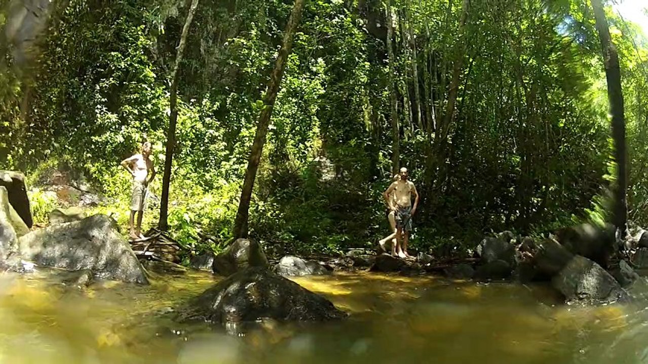 GOPR0445