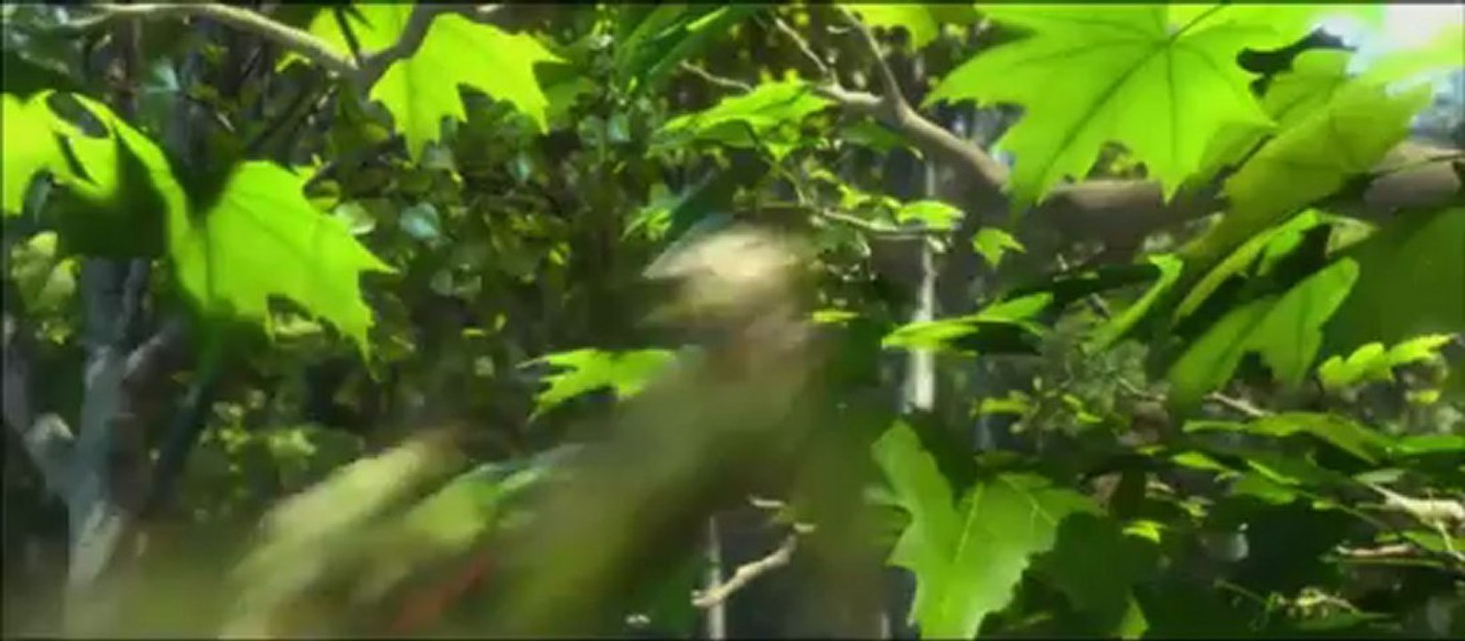 Epic: El mundo secreto (2013) Online Official Trailer #2 (www.peliculaskid.com)