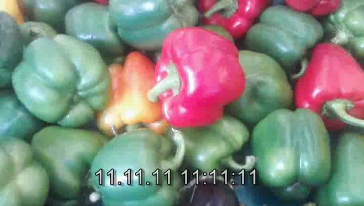 One year in five minutes 2011