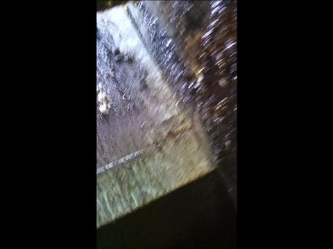 Restaurant kitchen exhaust fan and hood cleaning east bay san jose california.