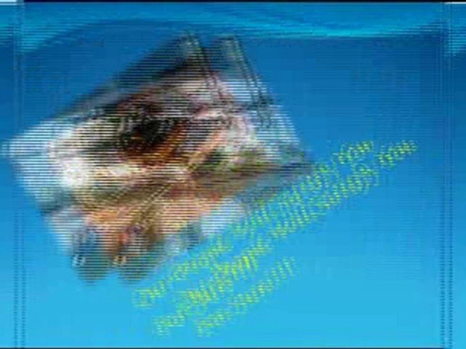 Pandoras OEM - Appliance Repair Service Store