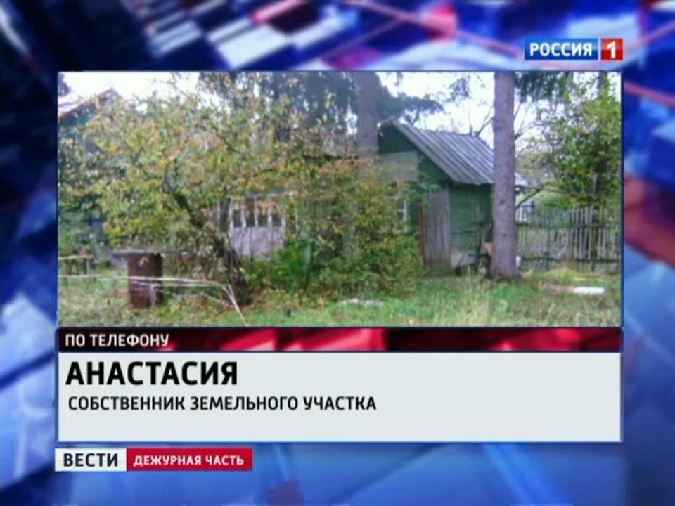 Следствие просит ареста для бирюлевского убийцы