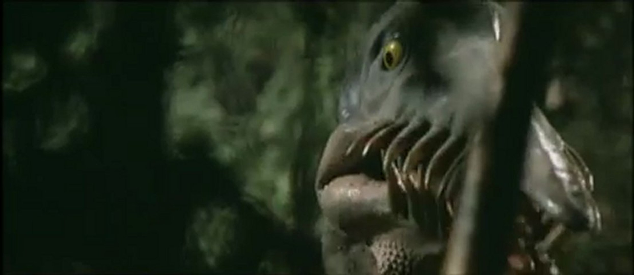 Deaththekid0の恐竜 怪鳥の伝説 Dailymotion