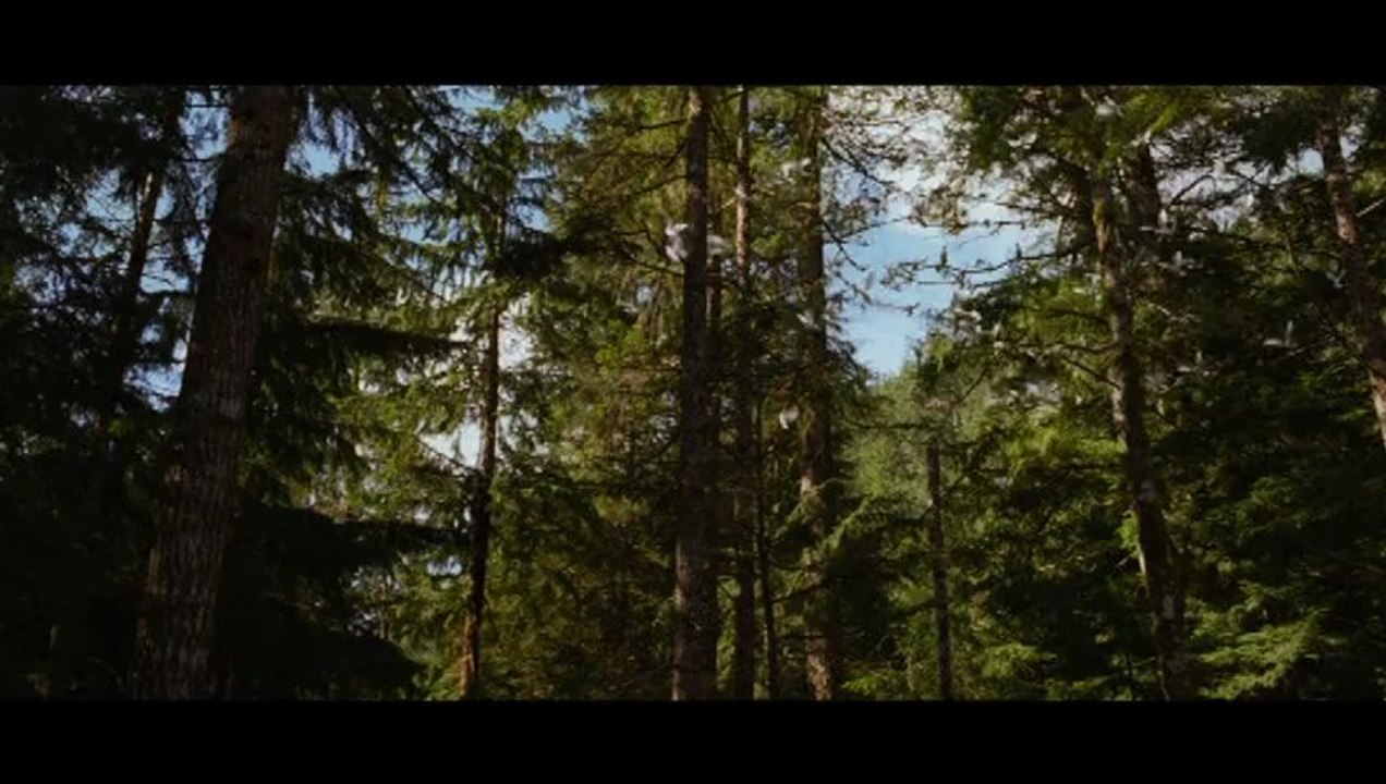 The Twilight Saga: Breaking Dawn - Part 2 - Exc...