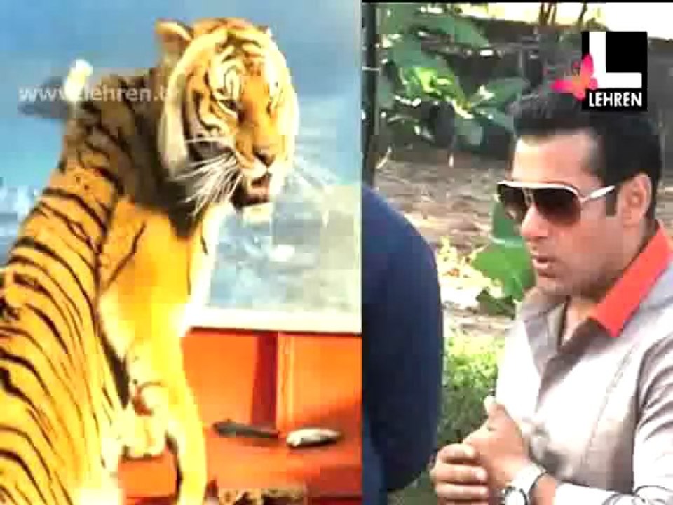 Tiger Khan Wants Tiger