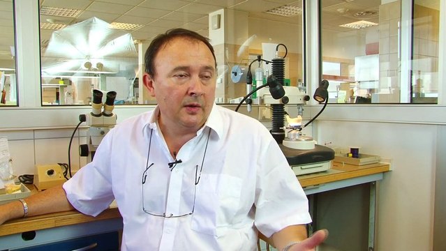 Laboratoire Pfeffer : Réalisation d'un film institutionnel présentant un des metiers de l'entreprise