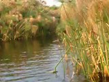 Sur le delta de l'Okavango