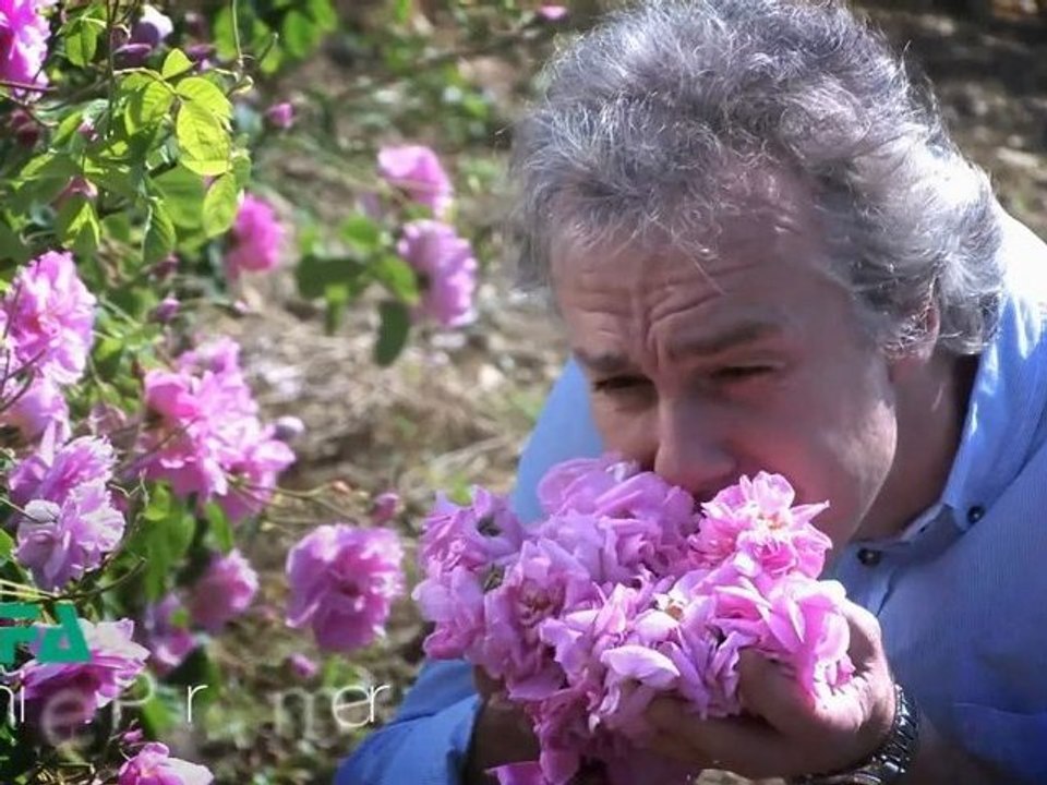 SFA Romani, perfume exporters, perfume manufacturers, producer, Grasse