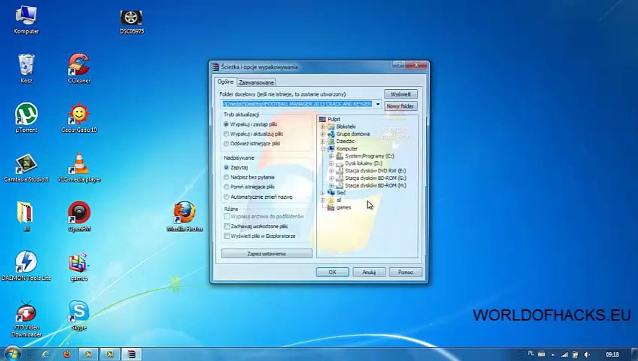 football manger 2013 crack