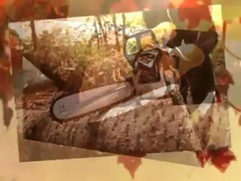 Rich's Tree Trimming, Removal & Disposal (209) 915-8969