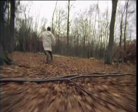 Si les poules avaient des dents