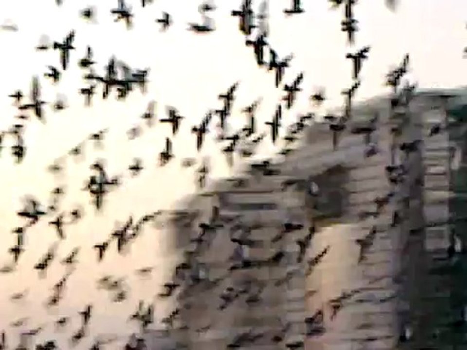 Hz. Osman (r.a.)'ın Kabri