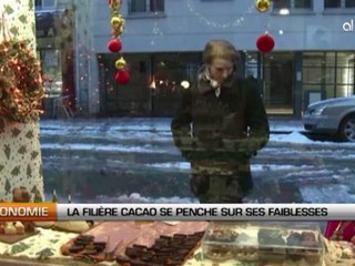 La filière cacao se penche sur ses faiblesses