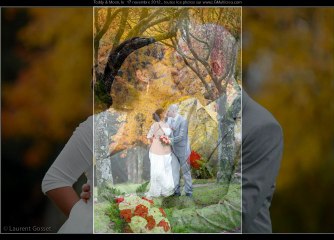 clip-teddy-moon 17 nov 2012