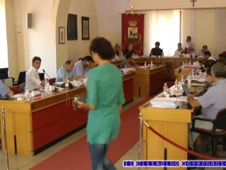 Consiglio comunale 10 agosto 2012 Presentazione Vanni