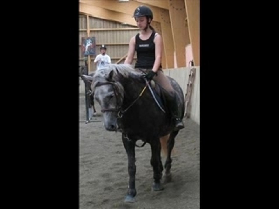 Ecurie des flots et Olympe