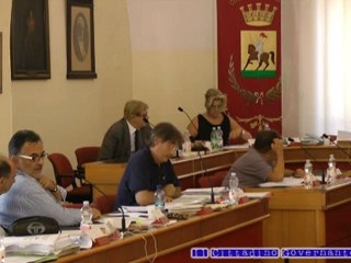 Consiglio comunale 10 agosto 2012 quesiti Arboretti