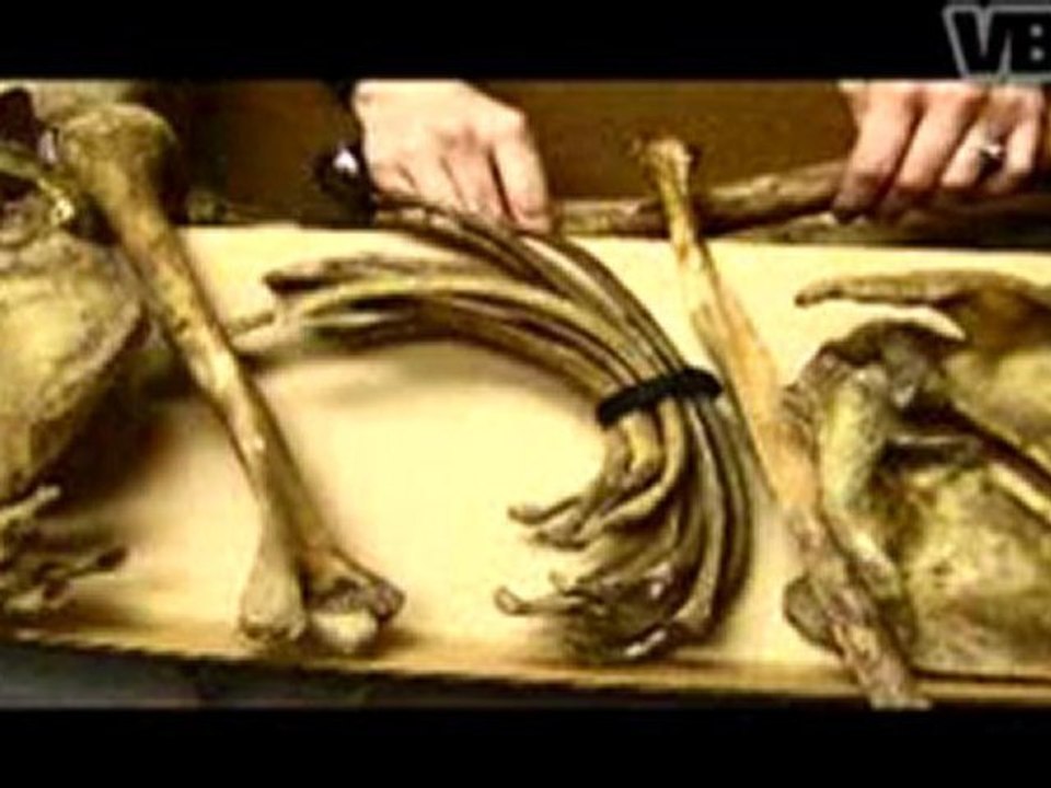 The Body Farm - Part 2 of 3.