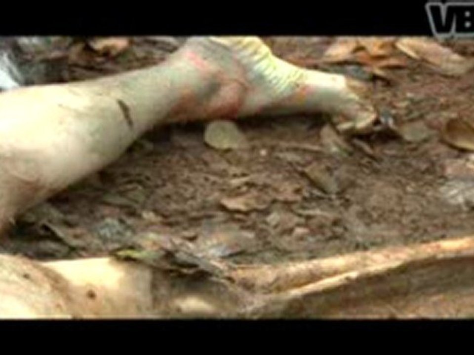 The Body Farm - Part 3 of 3.