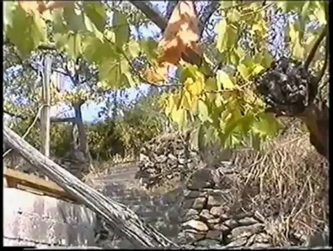 VIEUX MAS CEVENNOL SUR MUSIC JEUX INTERDITS