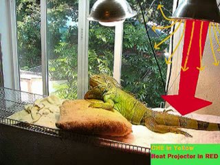 Reptile Uv Lighting -Heat Projector